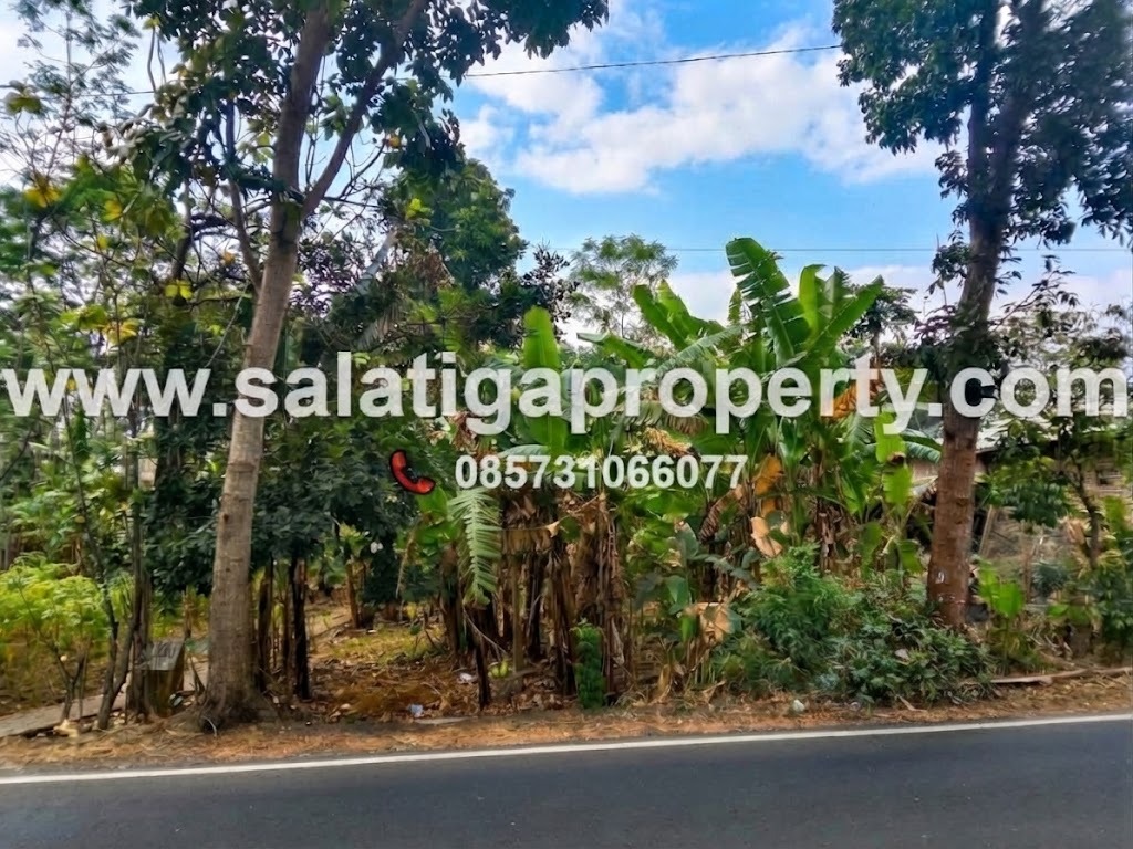 JUAL TANAH DI PINGGIR JLS SALATIGA