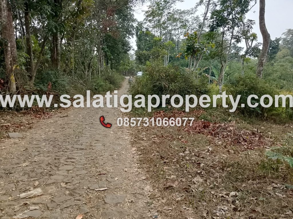 JUAL TANAH DI BUTUH TENGARAN
