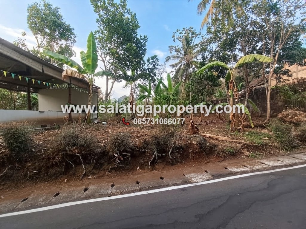 JUAL TANAH DI BLOTONGAN SALATIGA