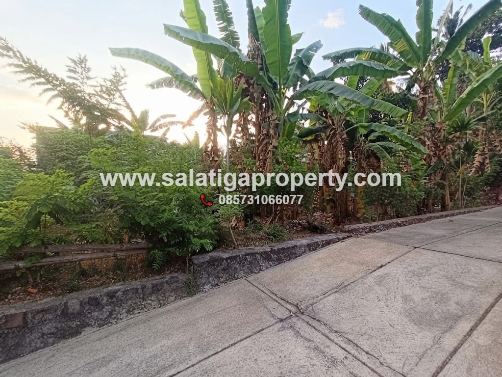 JUAL TANAH DI BLOTONGAN SALATIGA BISA JUAL KAVLING DAN SEBAGIAN