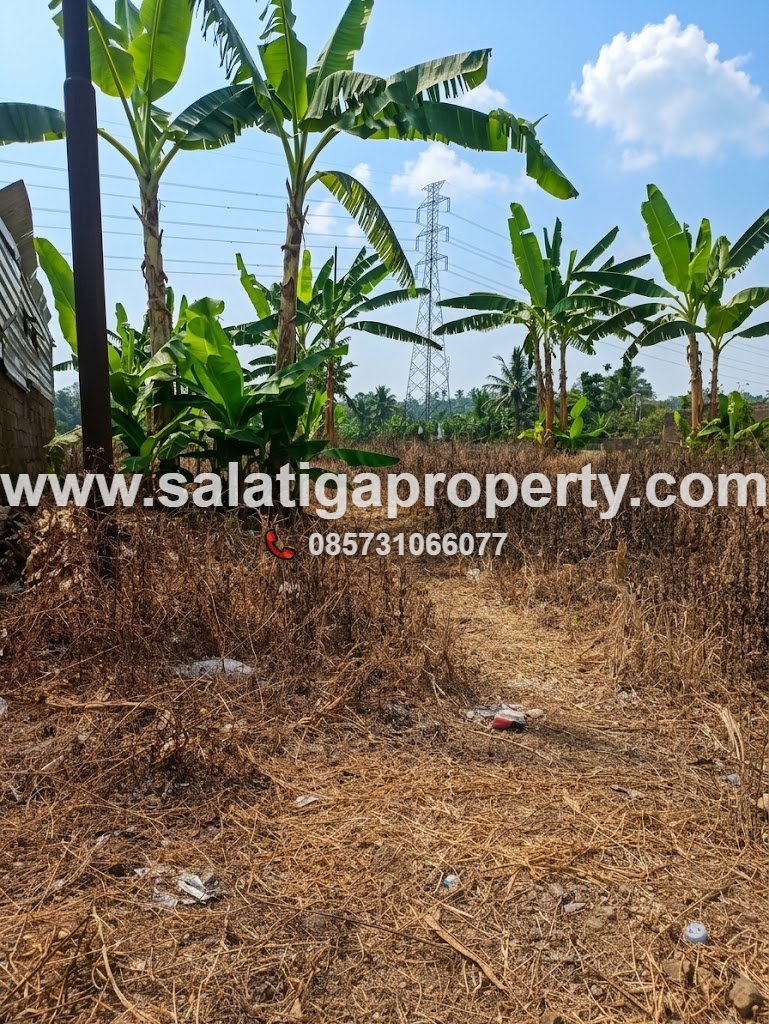 JUAL TANAH DI PINGGIR JALAN PATIMURA SALATIGA
